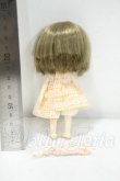 画像3: PARABOX/花かごの小部屋様カスタム　1/12ボディ Y-26-10-13-119-WA-ZY (3)