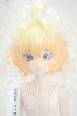 画像1: COME4FREE/Niyru Loi 幻界同調 Y-26-10-13-284-WA-ZY (1)
