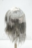 画像2: 6-7inch/ウィッグ Y-26-10-27-247-WA-ZY (2)