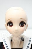 画像2: azone/和遥キナ学校制服コレクション 「和遥清心女子学園ver./ミレーネ」(アゾンダイレクトストア限定販売) Y-26-10-20-302-WA-ZY (2)