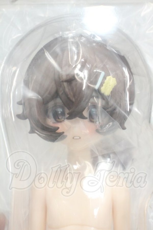 画像1: 箱入りファーリー BOXED FURRY/バリスタ Y-26-10-20-317-WA-ZY (1)