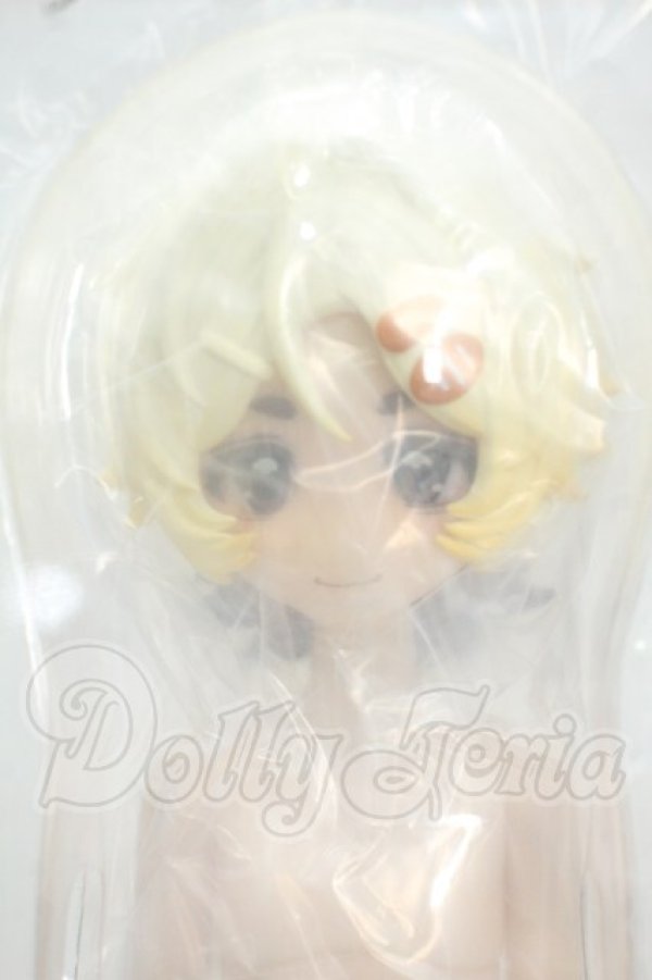 画像1: 箱入りファーリー BOXED FURRY/小さなシェフ Y-26-10-20-316-WA-ZY (1)
