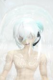 画像1: 悸動瞬息 シチリアの追憶/西西里往事 ルチアーノ サモエド Y-26-10-20-340-WA-ZY (1)