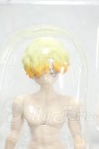 画像1: 悸動瞬息 シチリアの追憶/西西里往事 エドアルド ゴールデンレトリバー Y-26-10-20-341-WA-ZY (1)