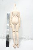 画像2: MDD/ベースボディ(DD-f3)フレッシュ Y-26-10-27-311-WA-ZY (2)