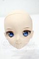 画像: DD/カスタムヘッド:DDH-09 Y-26-10-27-304-WA-ZY