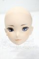画像: DD/DDH-26ヘッド Y-26-10-27-303-WA-ZY