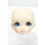 画像: DOLLCE/DC60-05ヘッド Y-26-10-27-302-WA-ZY