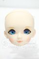 画像: DOLLCE/DC60-05ヘッド Y-26-10-27-302-WA-ZY