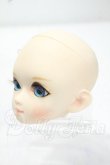 画像3: DOLLCE/DC60-05ヘッド Y-26-10-27-302-WA-ZY (3)