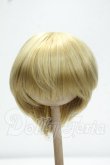画像1: 8-9inch/ウィッグ Y-26-10-27-258-WA-ZY (1)