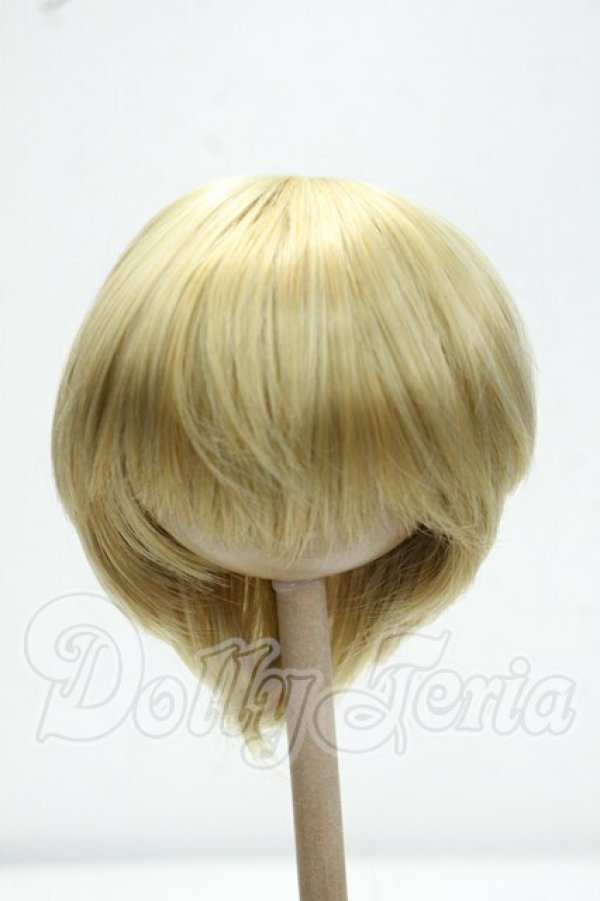 画像1: 8-9inch/ウィッグ Y-26-10-27-258-WA-ZY (1)