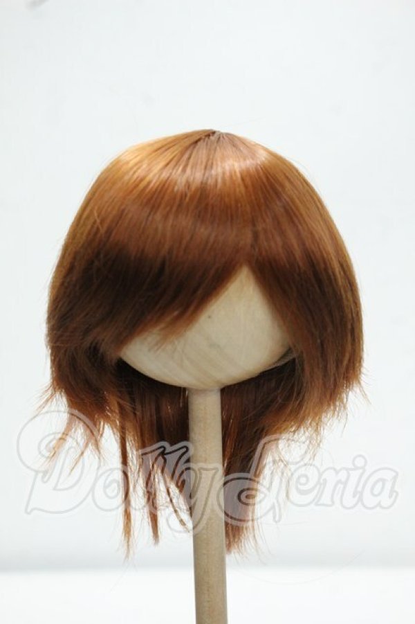 画像1: 8-9inch/ウィッグ Y-26-10-27-260-WA-ZY (1)