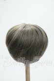 画像2: 8-9inch/ウィッグ Y-26-10-27-259-WA-ZY (2)