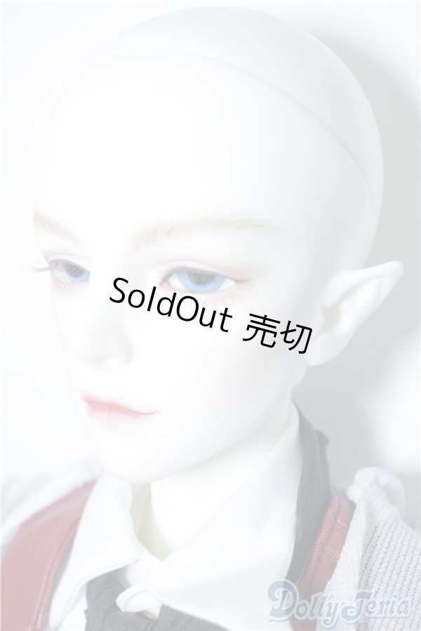 画像6: Dream Valley Leo Fullset A-24-07-24-1150-TN-ZU (6)