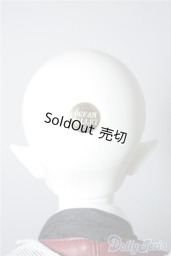 画像8: Dream Valley Leo Fullset A-24-07-24-1150-TN-ZU (8)