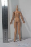 画像2: 1/6シームレス素体 A-25-10-29-1080-KN-ZU (2)