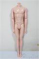 画像: 1/6男性ボディ/ A-25-08-13-262-NY-ZA