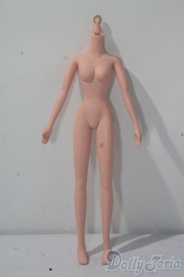 画像1: ジェニー/OF:小物 A-25-10-29-1083-TN-ZU (1)