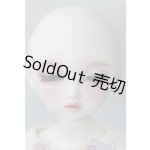画像: DearSD/ウナ U-24-12-17-212-TN-ZU