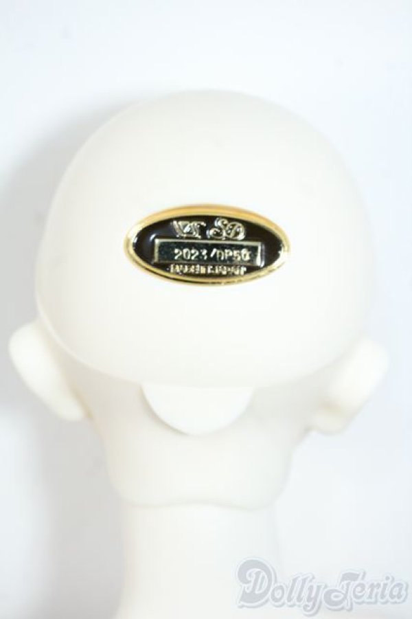 画像5: SDGｒ男の子/ウィリアムズ〜The Diligent Scholar〜 Y-25-09-03-297-TN-ZY (5)