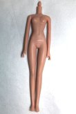 画像1: 1/6サイズ/女性ボディ A-26-07-06-088-NY-ZA (1)