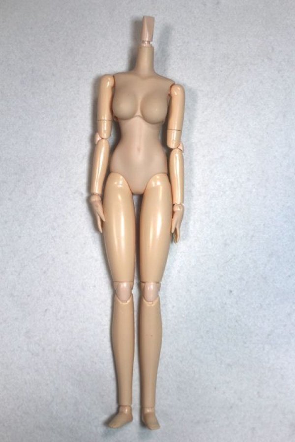 画像1: 1/6ドール/ボディ A-26-07-06-083-NY-ZA (1)