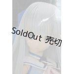 画像: 1/3HAF 劇場版蒼き鋼のアルペジオアルス・ノヴァDC イオナ A-23-12-06-196-TN-ZA