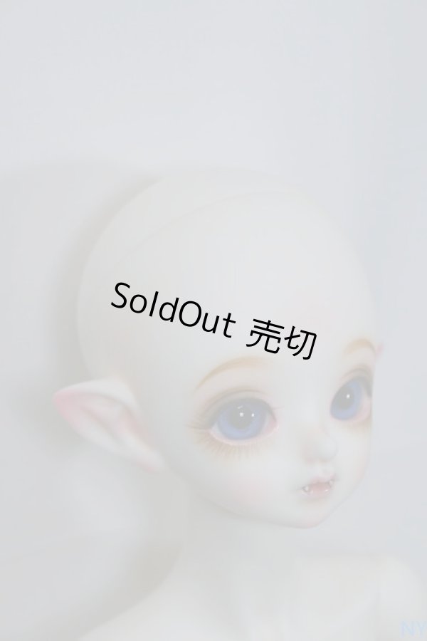 画像5: PEAKS WOODS/FOB Vampire Little Yeru A-23-09-27-357-NY-ZA (5)