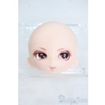 画像: PARABOX/パラボックルL カスタムヘッド Y-25-05-21-206-KN-ZY