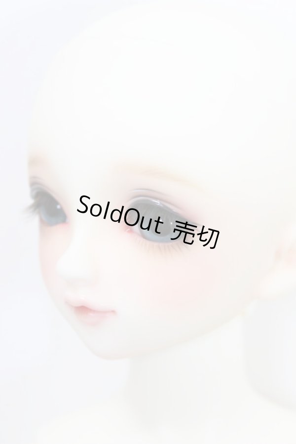 画像3: SDG/F-60：フルチョイス（ココタイプ） A-23-10-11-101-NY-ZA (3)