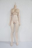 画像1: DDS/ベースボディ A-23-12-20-1001-NY-ZU (1)