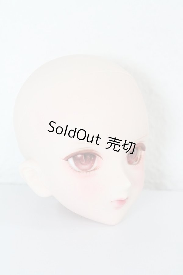 売れ筋介護用品も！ DDH-07カスタムヘッド A-23-12-20-1037-NY-ZU - ドーリーテリア 本体