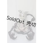 画像: Doll Chateau/Pluto：Grey Skin/ A-25-02-12-325-NY-ZA