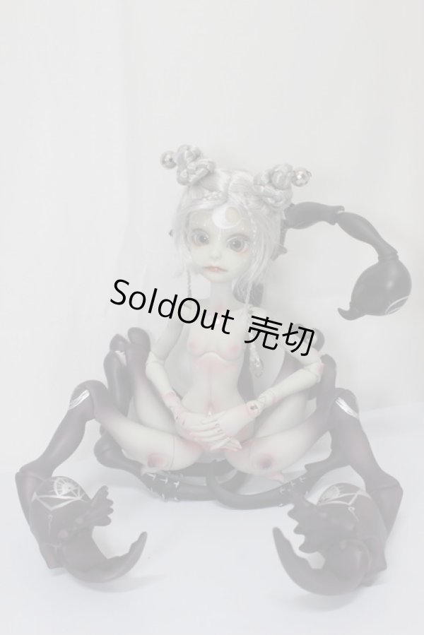 画像1: Doll Chateau/Pluto：Grey Skin/ A-25-02-12-325-NY-ZA (1)