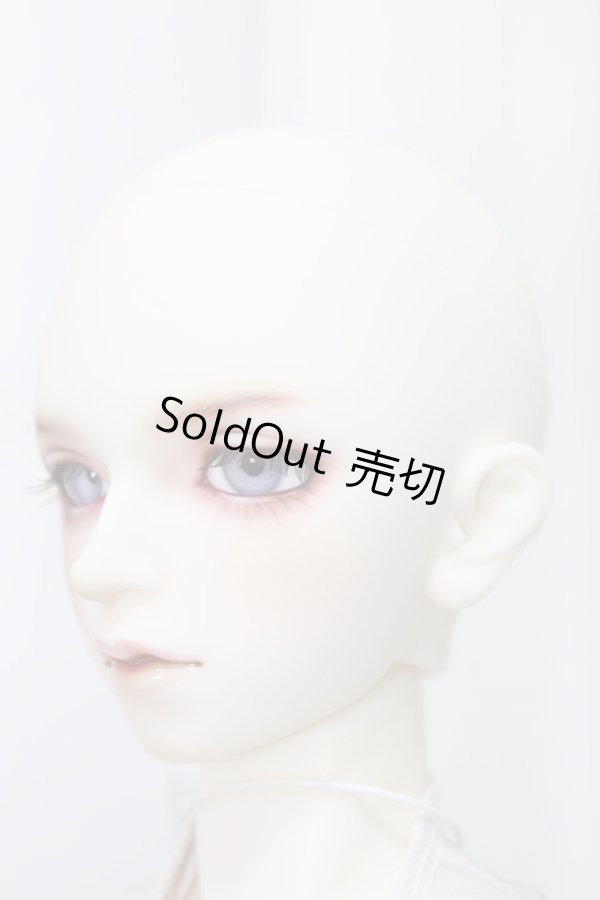 画像3: SDGrB/F-88：フルチョイス A-24-02-07-102-NY-ZA (3)