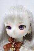 画像3: 2D DOLL/Lengleng Traumend ver. Limited A-23-11-29-307-NY-ZA (3)