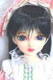 画像1: bunny bunny／Maple C Doll／35cm ノーマルスキン A-23-12-25-137-NY-ZA (1)