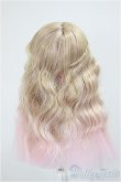 画像2: 5inchウィッグ/インチ　BJD　MJD　ドール用 A-25-07-02-297-NY-ZA (2)