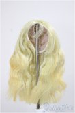 画像1: 5.5inchウィッグ/インチ　BJD　MJD　ドール用 A-25-07-02-299-NY-ZA (1)