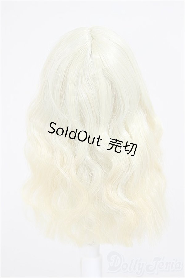 画像2: 5.5inchウィッグ/インチ　BJD　MJD　ドール用 A-25-07-02-299-NY-ZA (2)