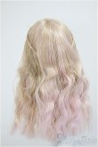 画像2: 6inchウィッグ/インチ　BJD　MJD　ドール用 A-25-07-02-298-NY-ZA (2)
