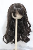 画像1: 8-9inchウィッグ/インチ　BJD　MJD　ドール用 A-25-01-15-306-NY-ZA (1)