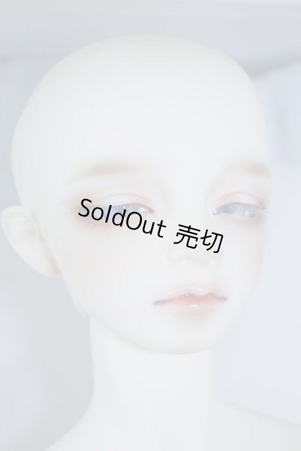 画像5: SDGr/アーニー 星間学寮ver. U-24-01-17-209-TN-ZU (5)