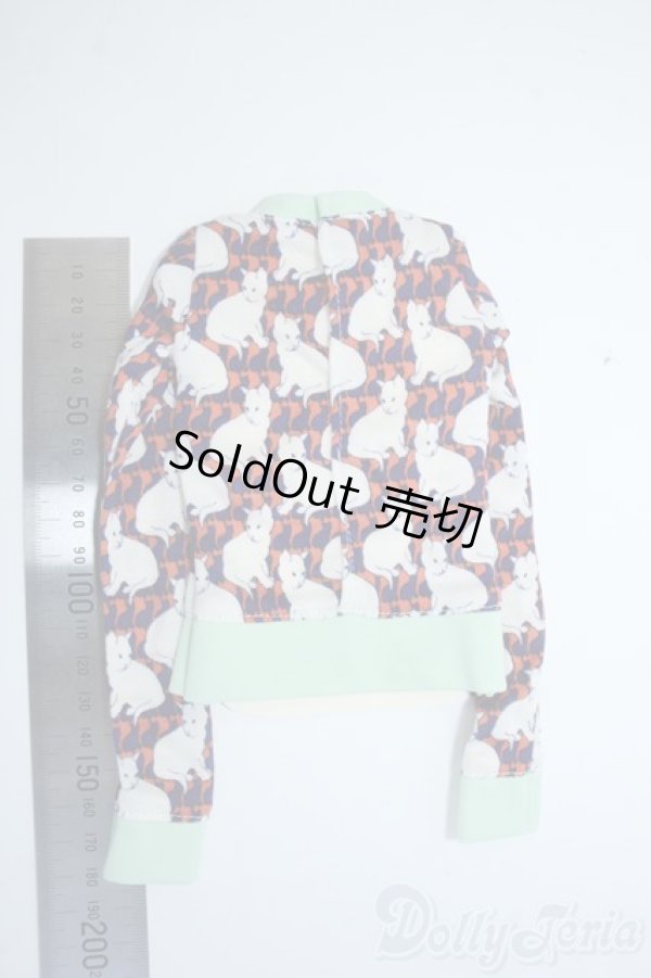 画像2: 50ｃｍ/OF:VisuaDOLL製トップス Y-25-06-25-165-NY-ZY (2)