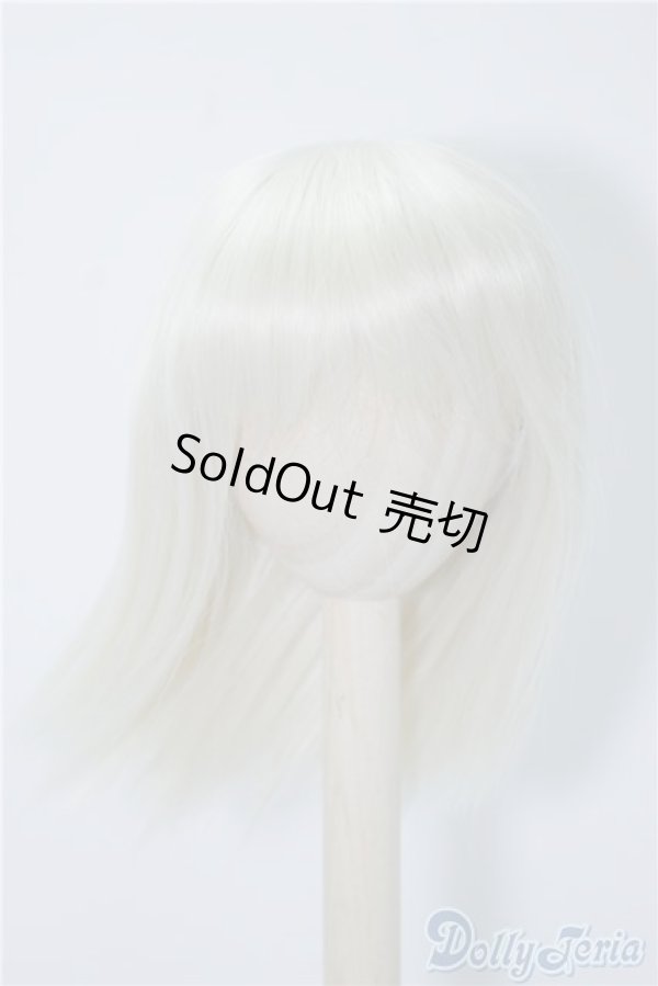 画像1: 9〜10inchウィッグ/ミディアム U-24-10-08-046-KD-ZU (1)