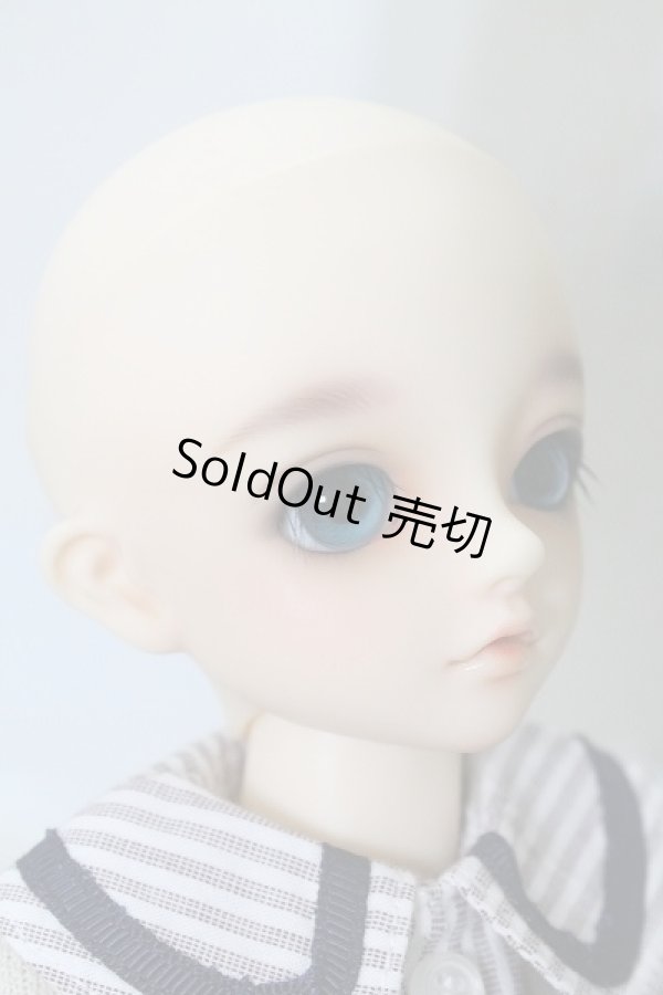 画像4: SDMBOY/コーディネートモデル F-31ヘッド U-24-02-14-211-KN-ZU (4)