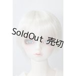 画像: SD17B/F-90：フルチョイス U-24-02-14-219-NY-ZU
