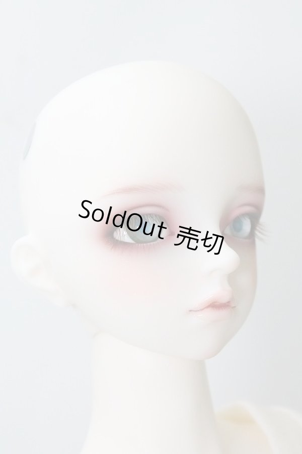 画像4: SD17B/F-90:フルチョイス U-24-02-14-219-NY-ZU (4)