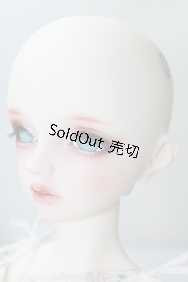 画像3: SDGrG/F-90:フルチョイス U-24-02-14-218-NY-ZU (3)